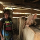 Martha Tokpa posed for photo at her piggery center in Wuo's Town, Nimba COunty